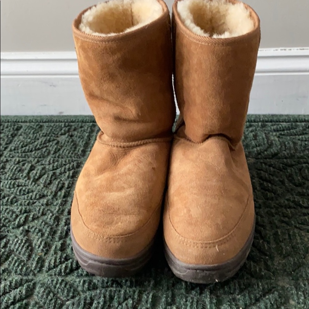 Classic short chestnut Ugg boots